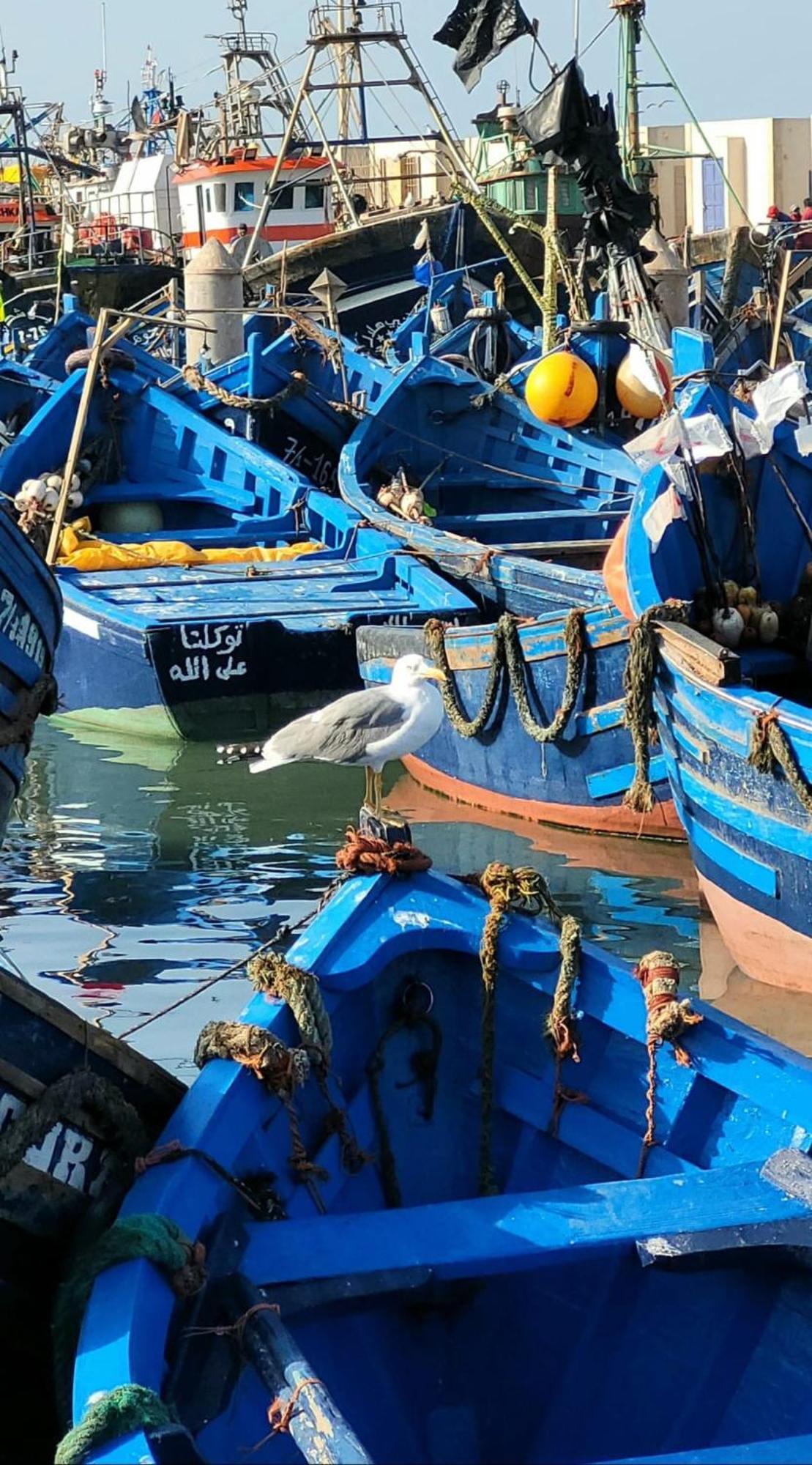 Riad Ocean Medina Szavíra Kültér fotó