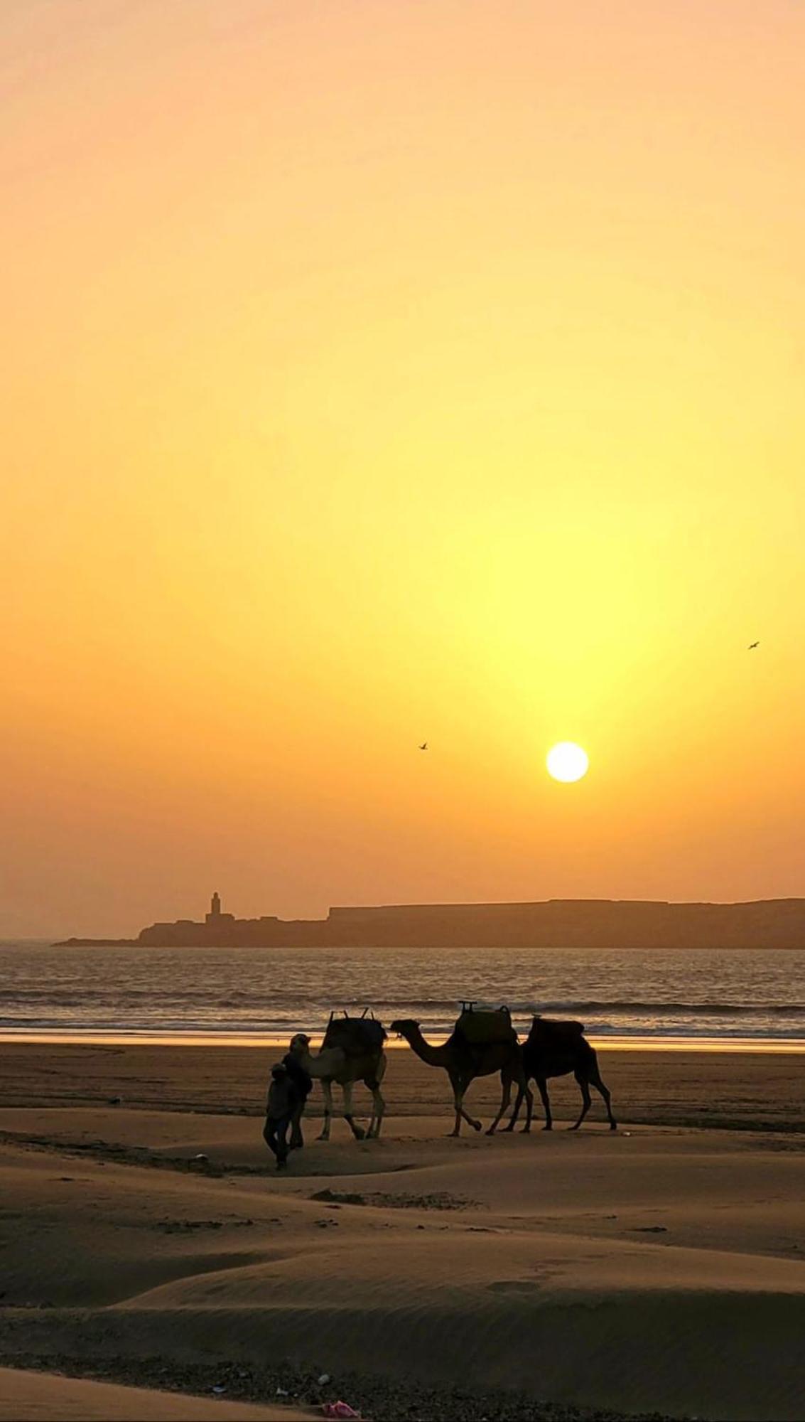 Riad Ocean Medina Szavíra Kültér fotó