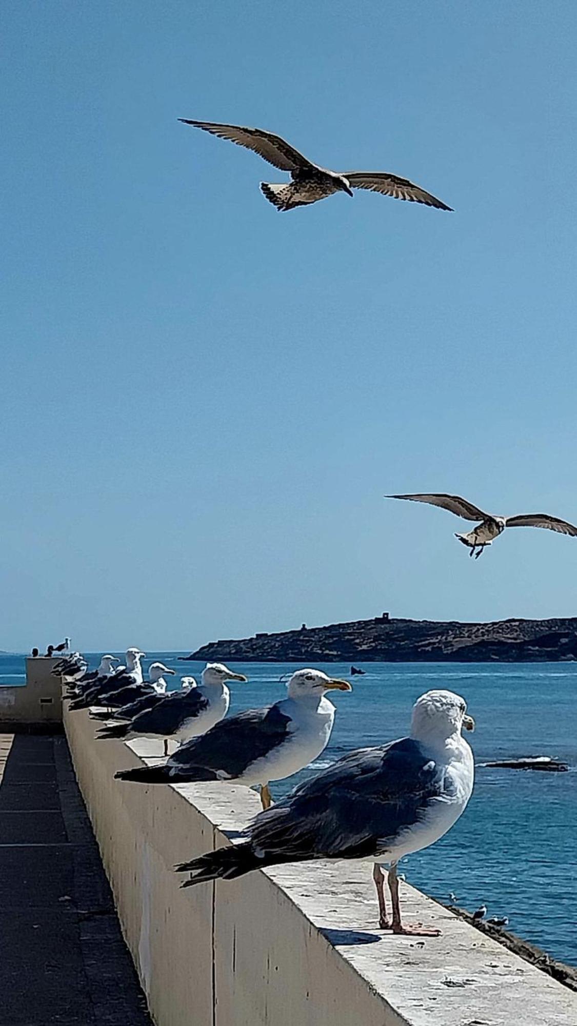 Riad Ocean Medina Szavíra Kültér fotó